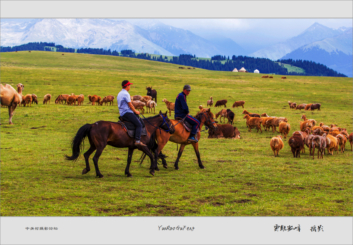 60D拍马！不是拍马屁哈！终于三个村委到齐了！