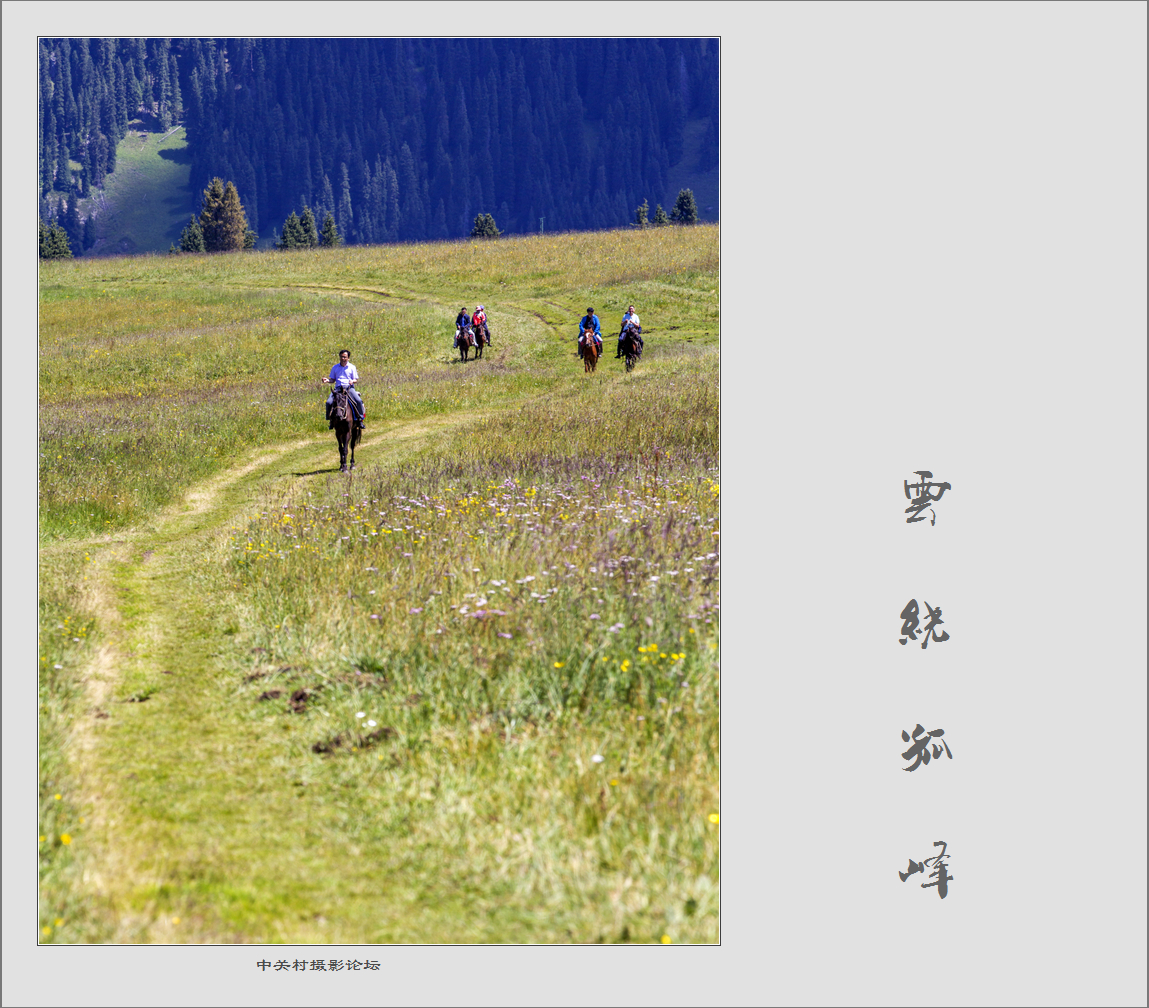 60D拍马！不是拍马屁哈！终于三个村委到齐了！