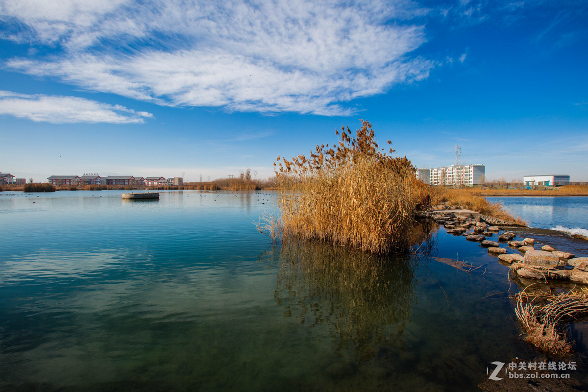 湿地之冬景旖旎（祁连山歌）