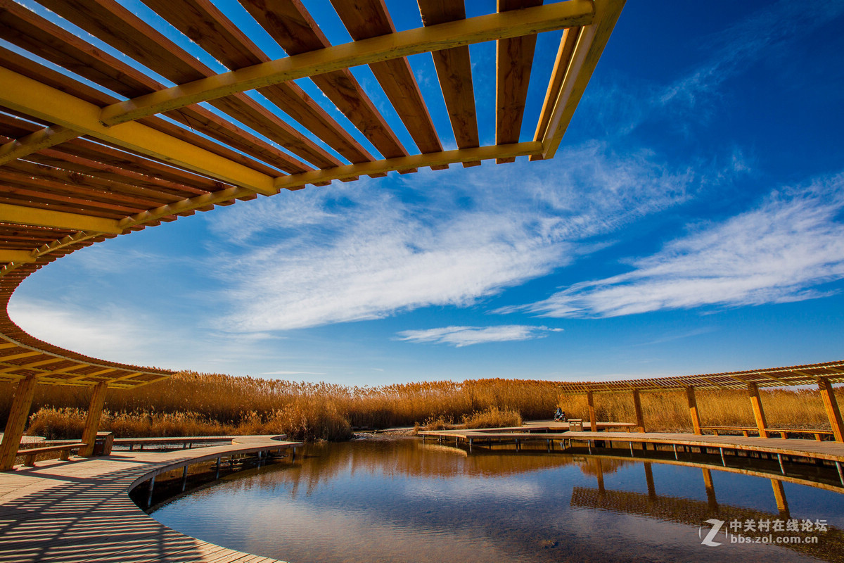 湿地之冬景旖旎（祁连山歌）