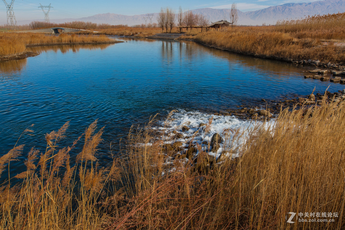 湿地之冬景旖旎（祁连山歌）