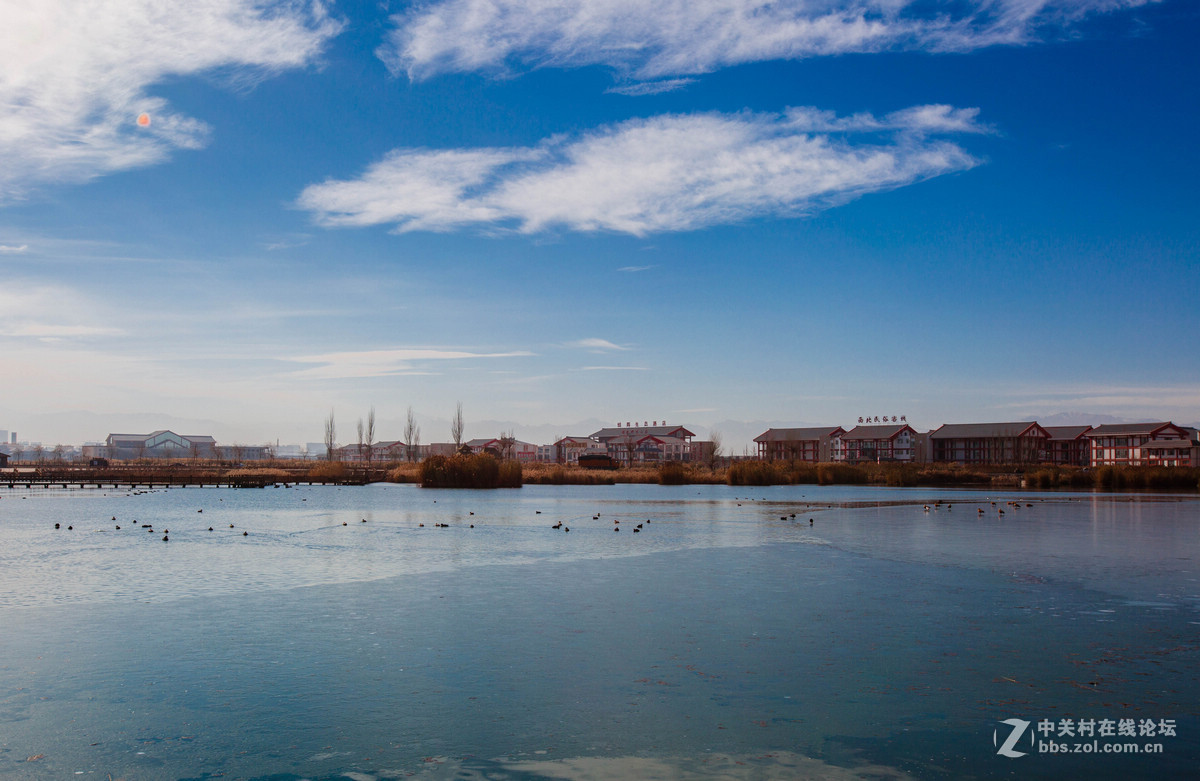 湿地之冬景旖旎（祁连山歌）