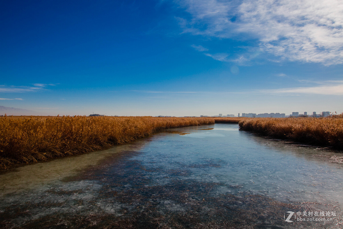湿地之冬景旖旎（祁连山歌）
