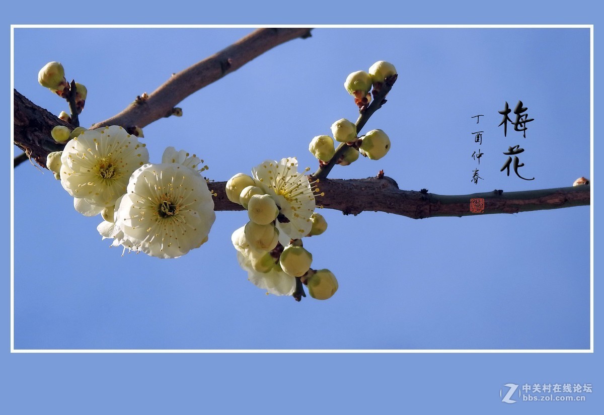 #版主坐堂#小五星空(中国)2017年3月精品荟萃