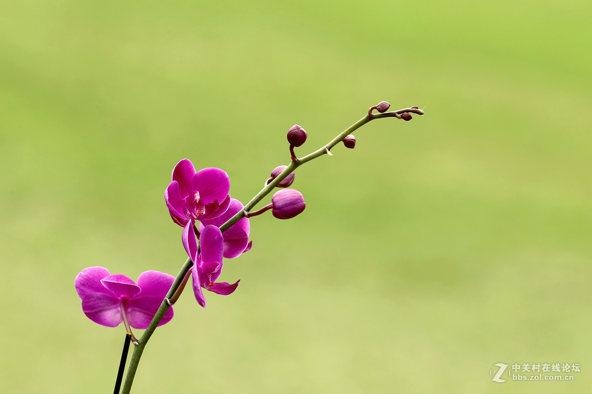 #版主坐堂#小五星空(中国)2017年3月精品荟萃