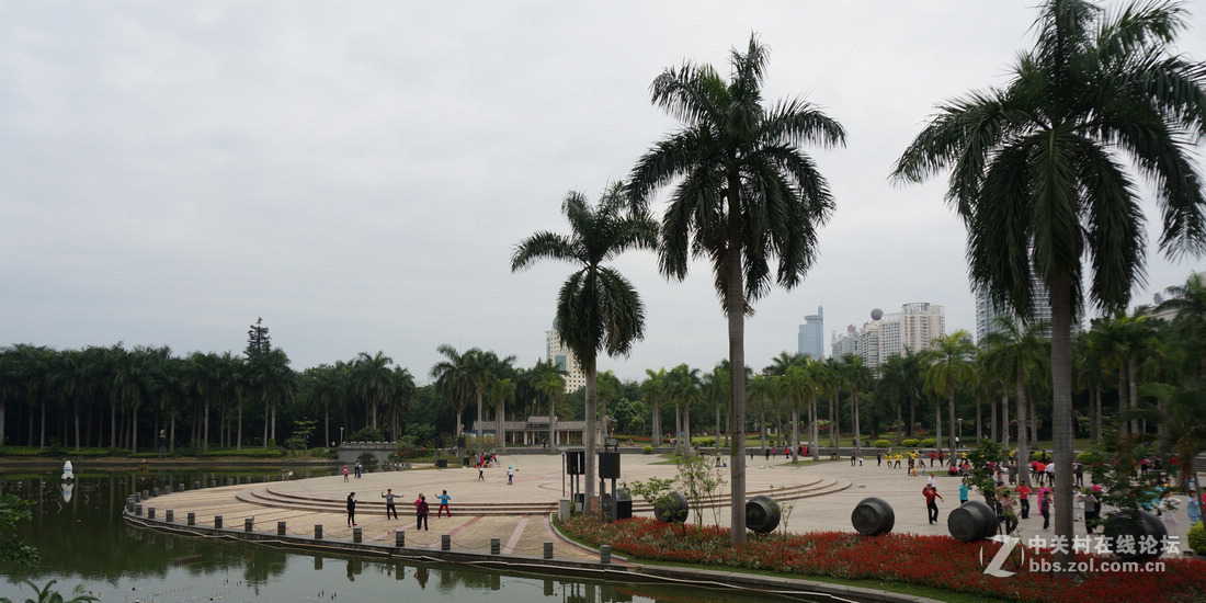 南宁南湖公园随拍