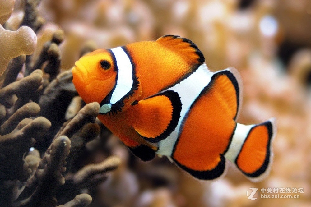 花都港龙拍摄  海底世界