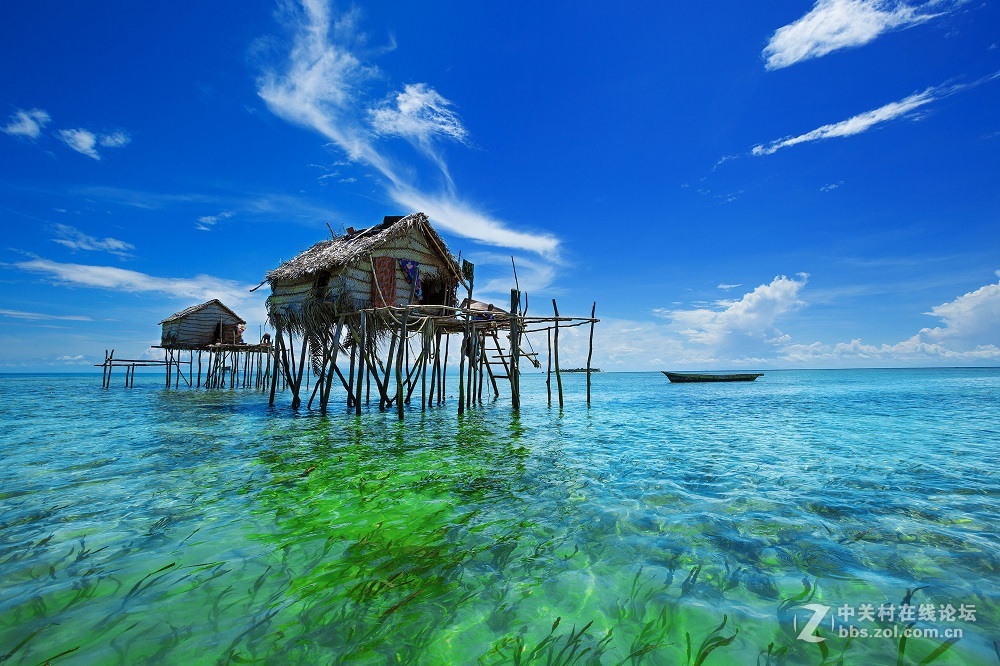 花都港龙拍摄  海底世界