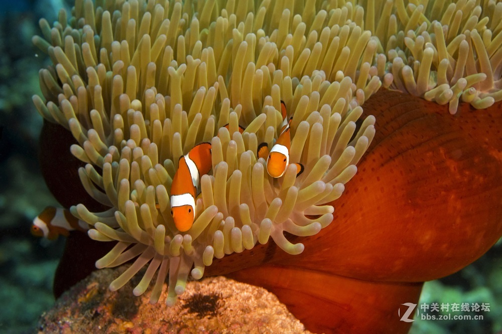 花都港龙拍摄  海底世界