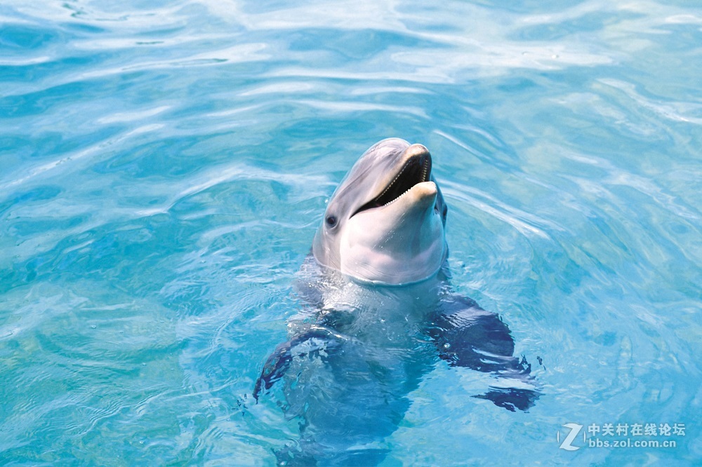 花都港龙拍摄  海底世界