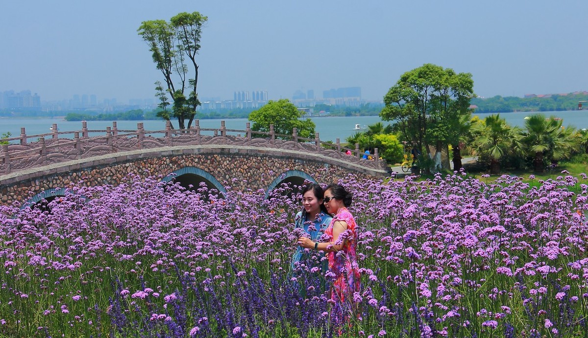 #佳能月赛-行走的印记# 2017那些流连忘返的美景。