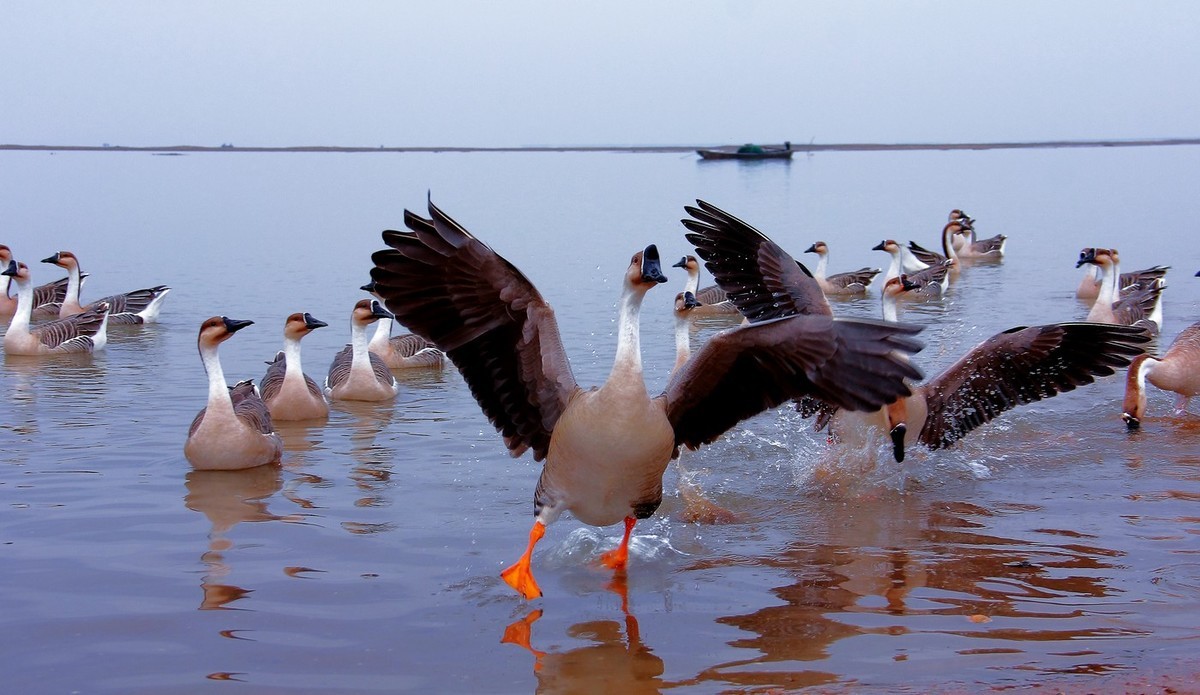 #佳能月赛-行走的印记# 2017那些流连忘返的美景。