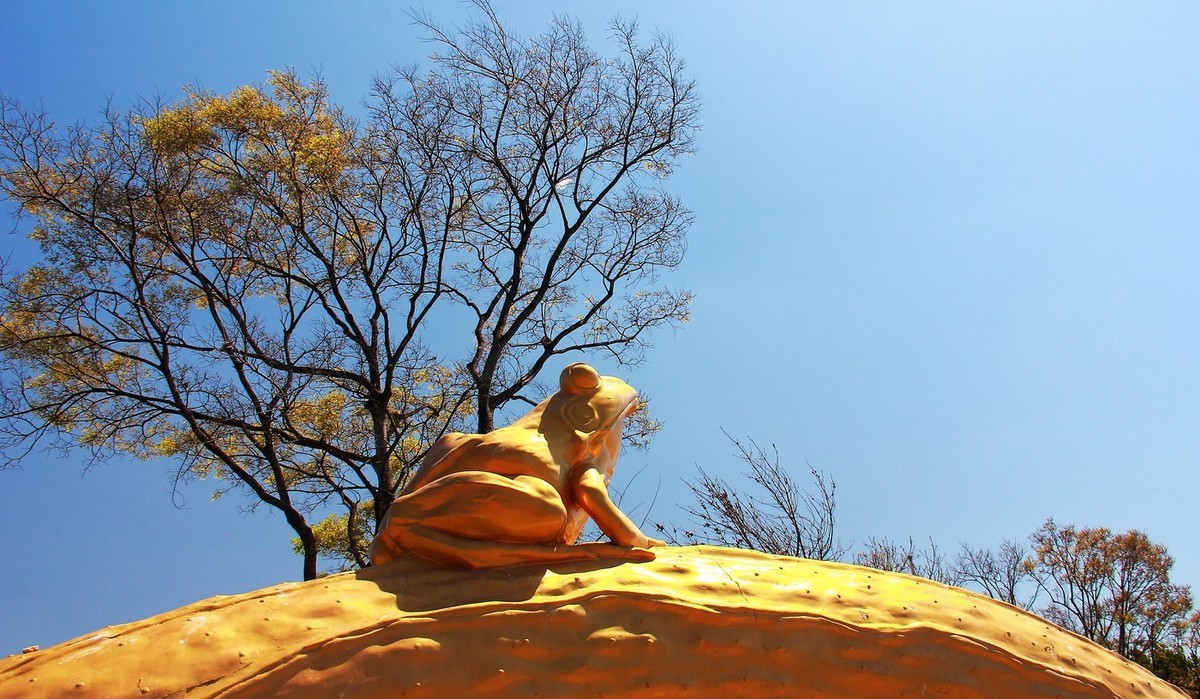 #佳能月赛-行走的印记# 2017那些流连忘返的美景。