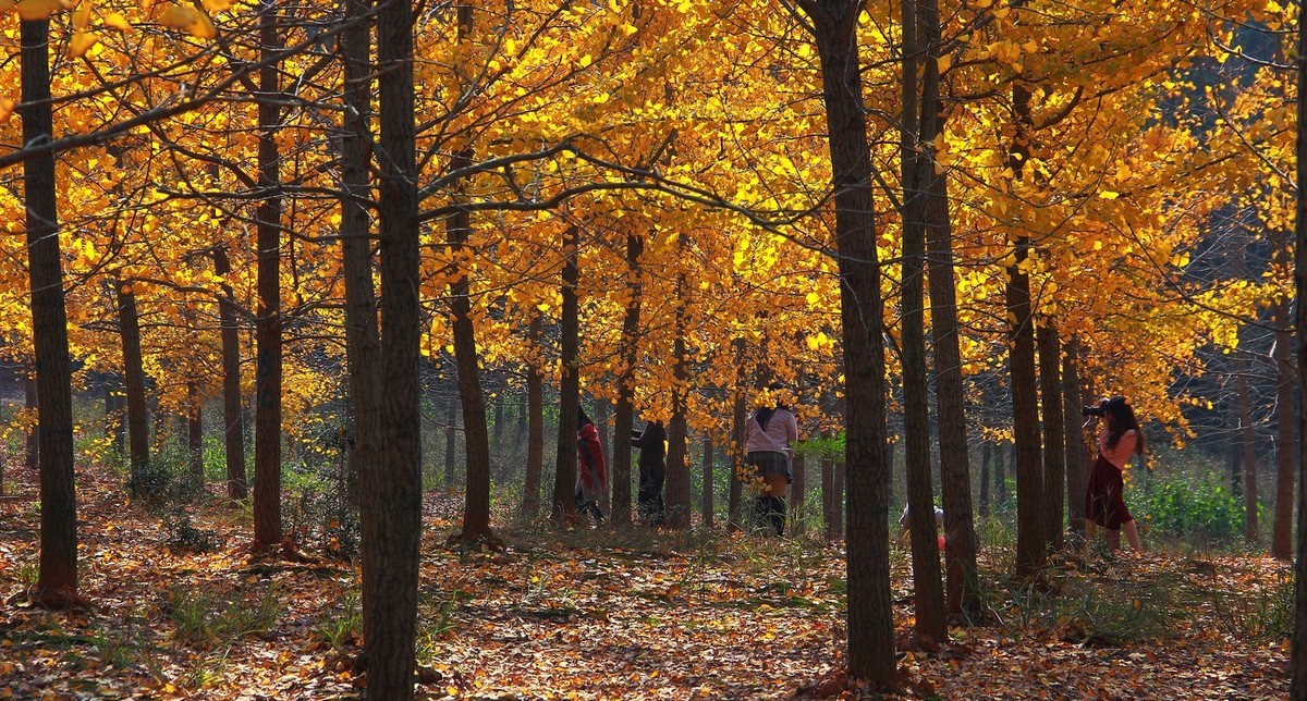 #佳能月赛-行走的印记# 2017那些流连忘返的美景。