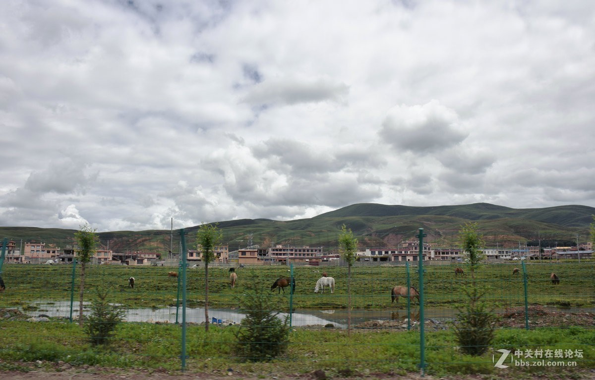 2018夏 川新藏（30）理塘