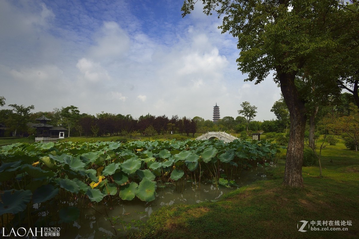 “天下三分明月夜，二分无赖是扬州”