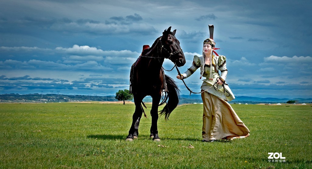 #回顾2019# 《其乐融融.金莲川 草原情》