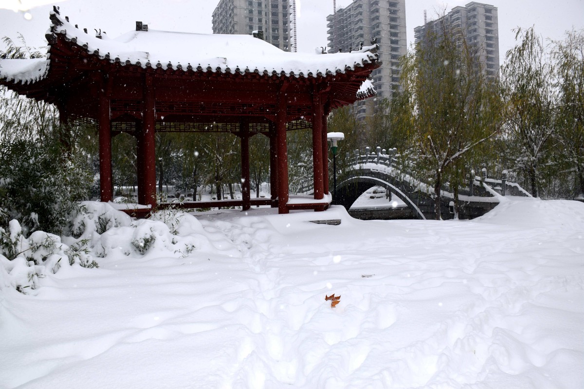 环城公园雪景