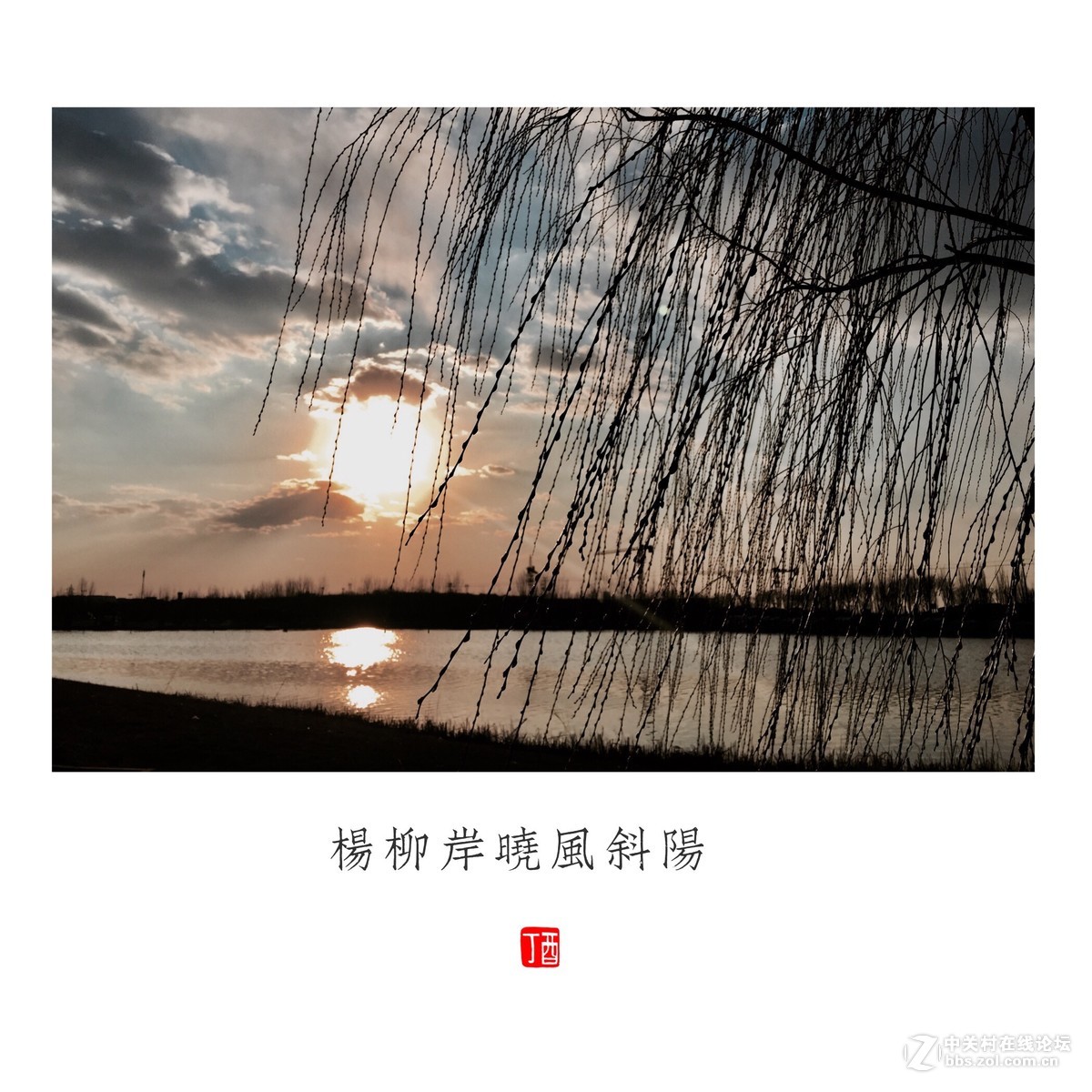湖色春光起新烟