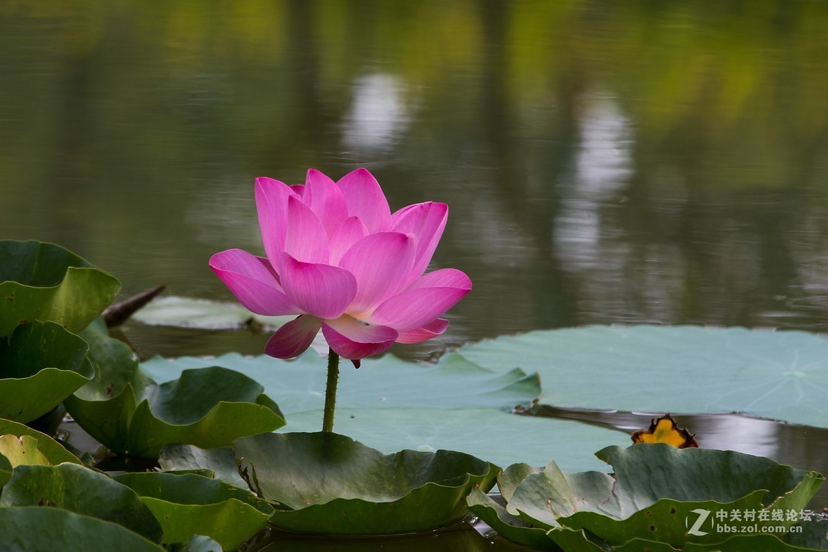 #佳能EOS M6-定格光影#多姿多彩的夏日