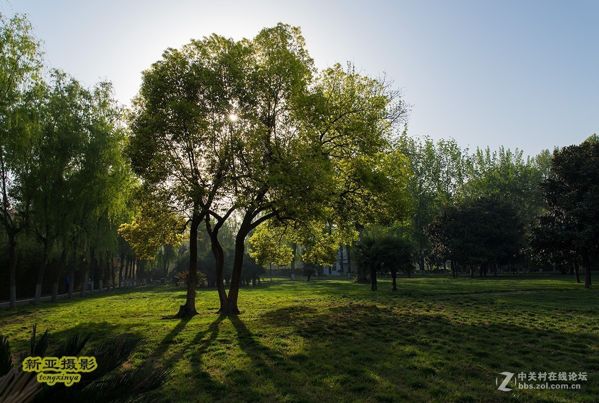 #佳能EOS M6-定格光影#多姿多彩的夏日