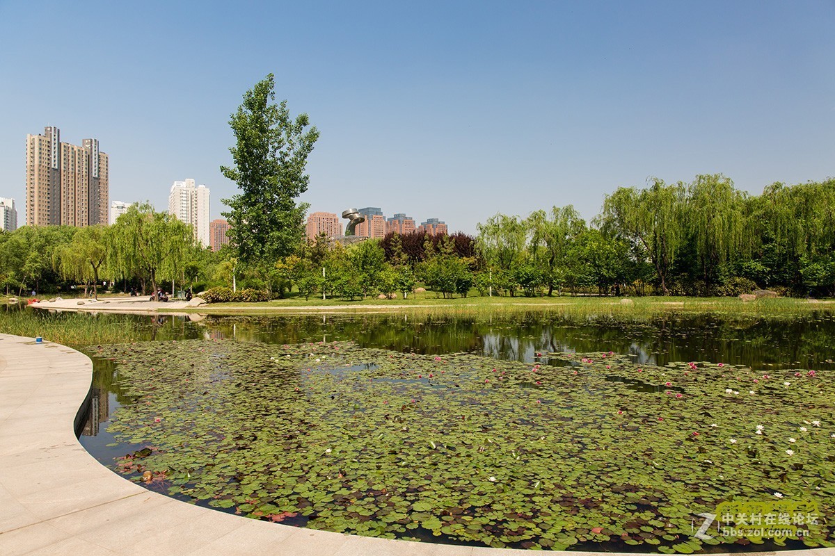 #佳能EOS M6-定格光影#多姿多彩的夏日