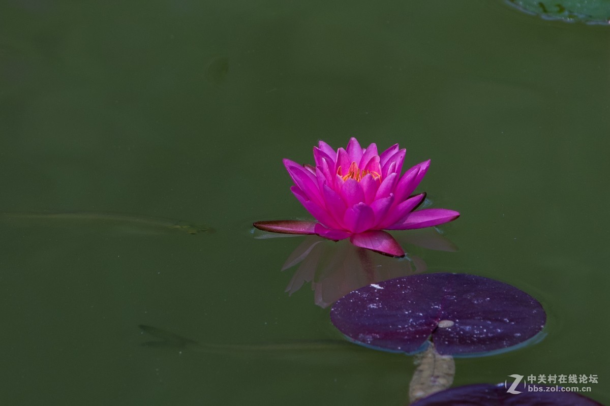 #佳能EOS M6-定格光影#多姿多彩的夏日