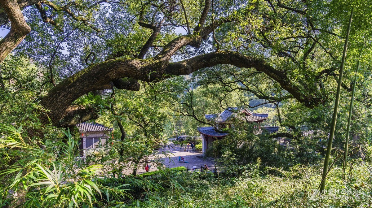 堰头