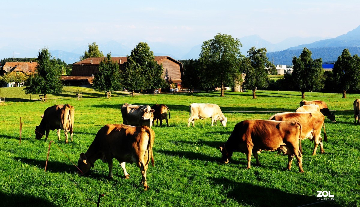 湖光山色，浑然天成。瑞士：一个一生必去的国家。