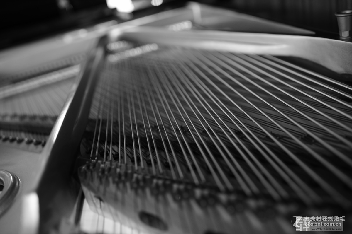 山东省美术馆一扫