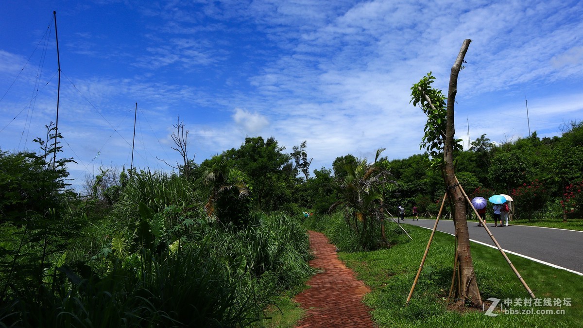 佳能M6试机——湖光山色