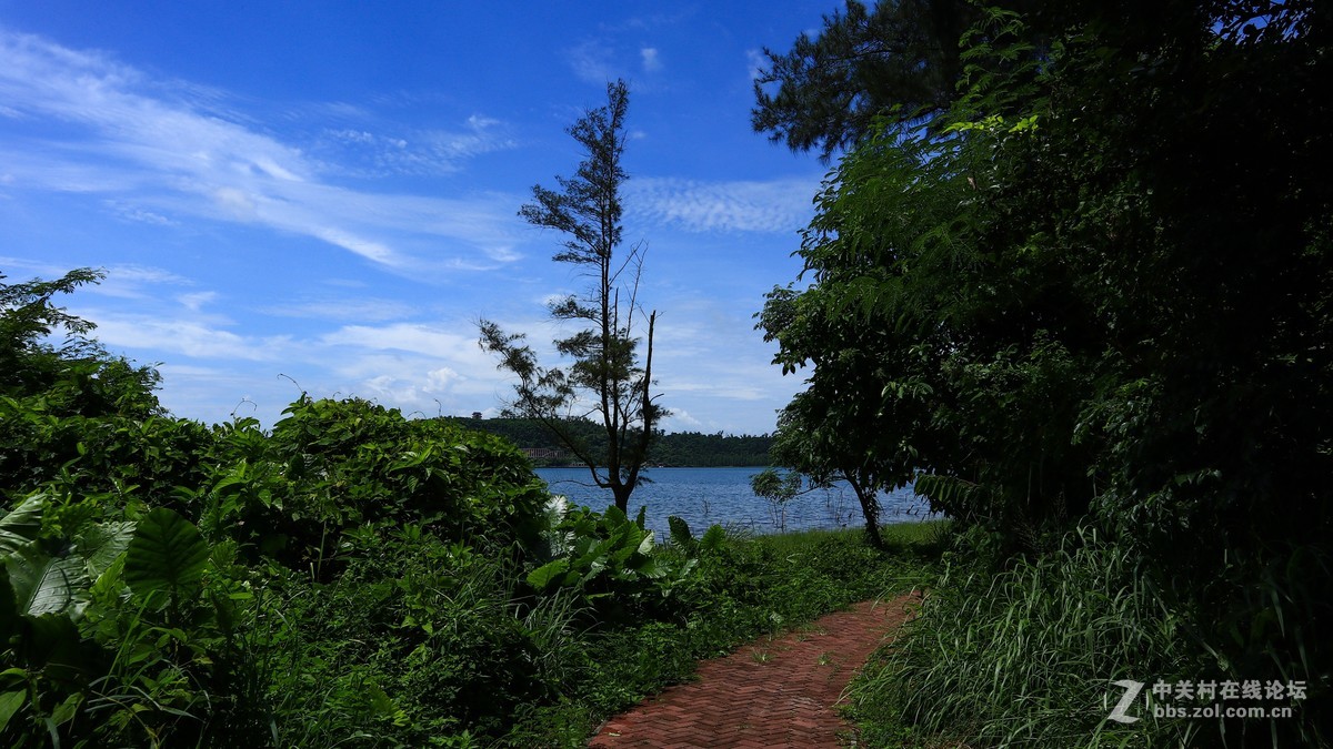 佳能M6试机——湖光山色