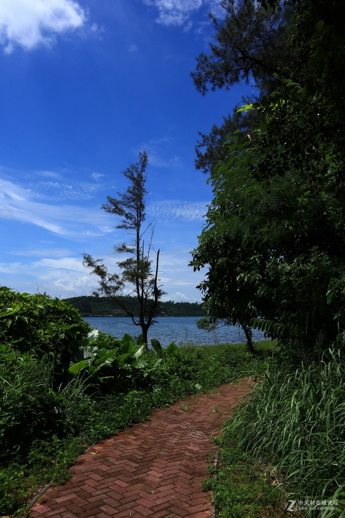 佳能M6试机——湖光山色