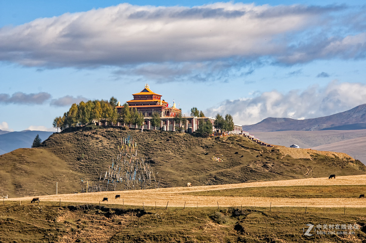 川西风光-秋景三