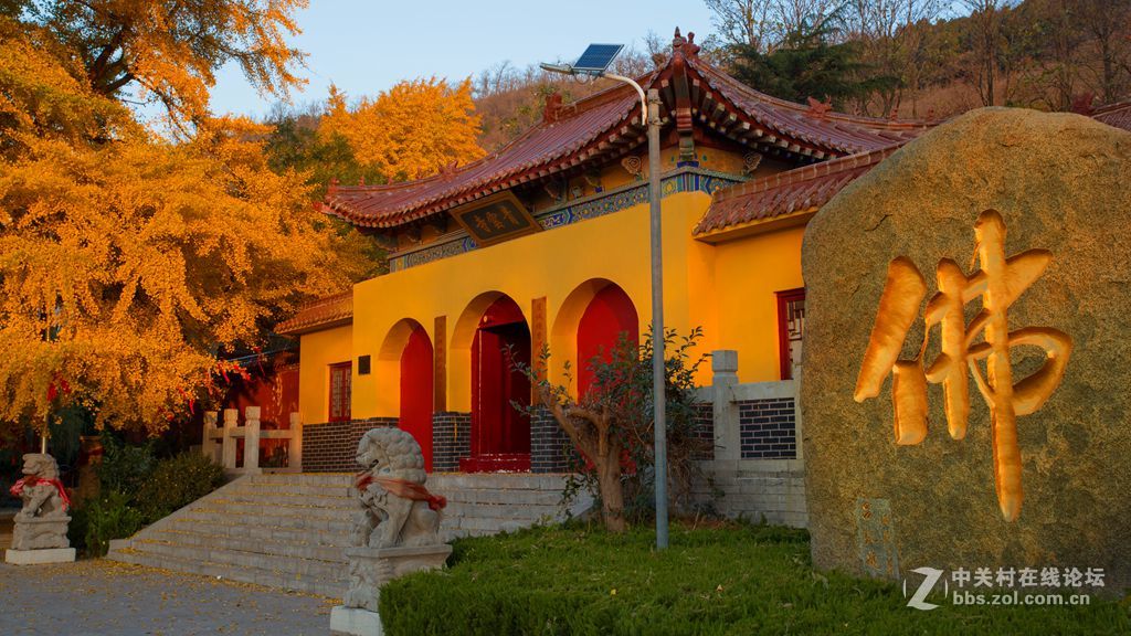 安丘公冶长书院千年银杏