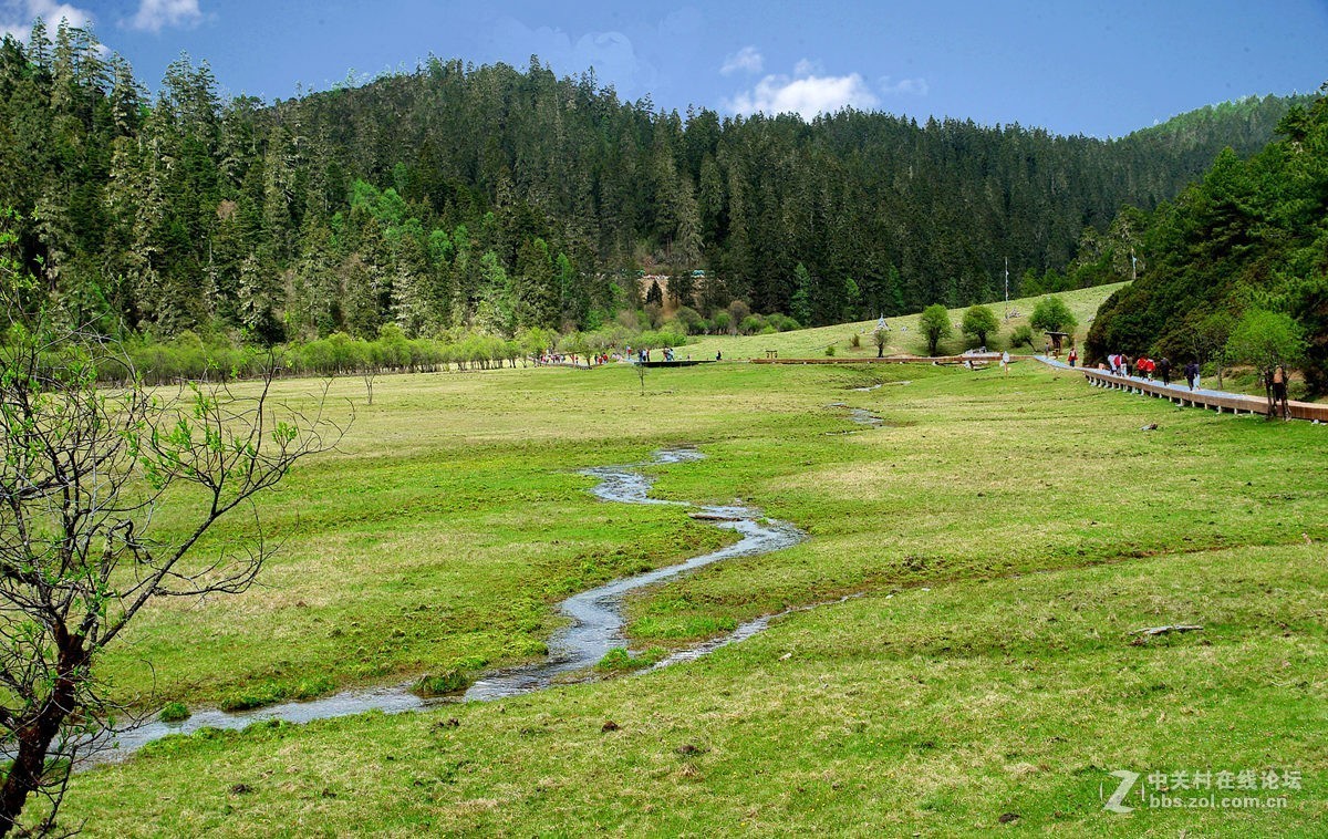 香格里拉高原牧场