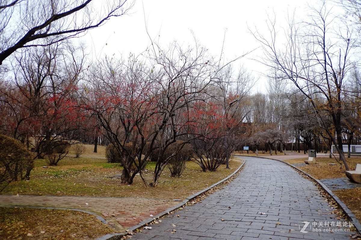 这个镜头太值了！拍一组【冬天里的美丽……】