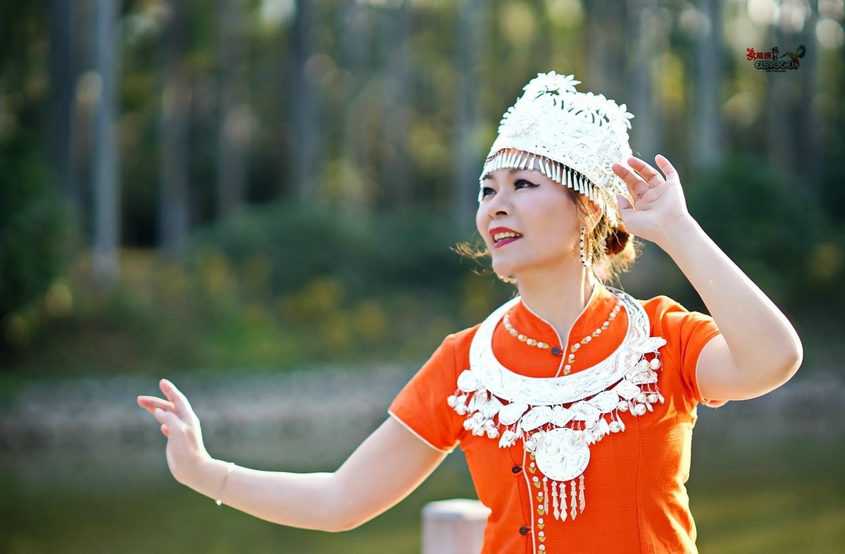 【阿里山姑娘】----琦琦