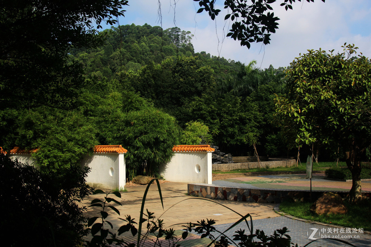 滴水巖森林公園隨拍二