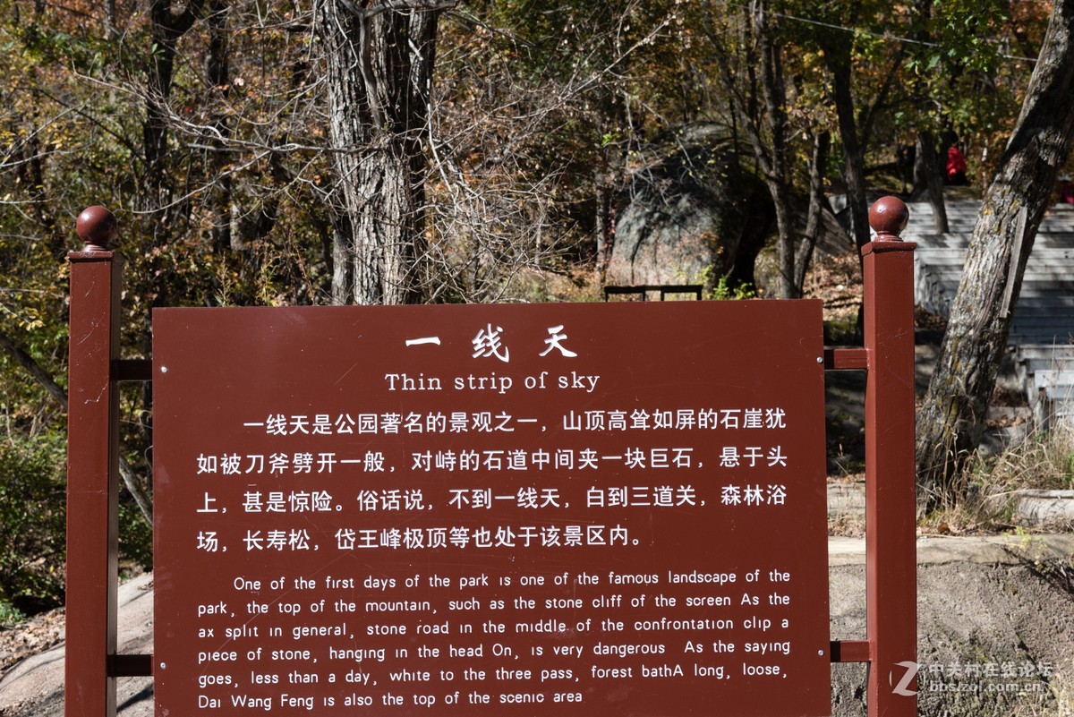 北方秋色