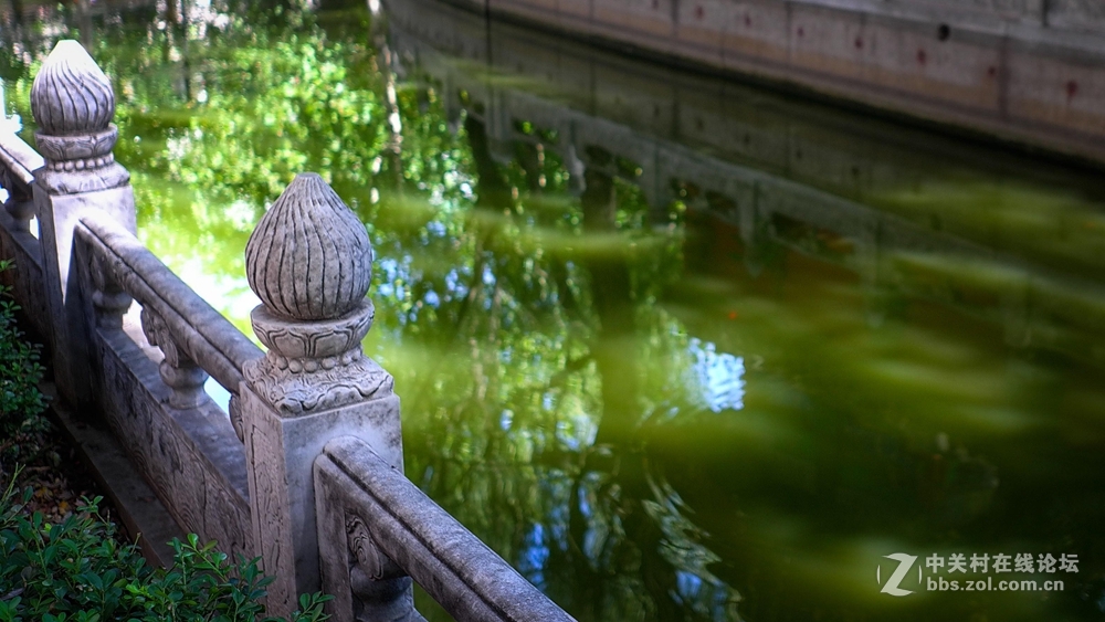 香河一城文化艺术节