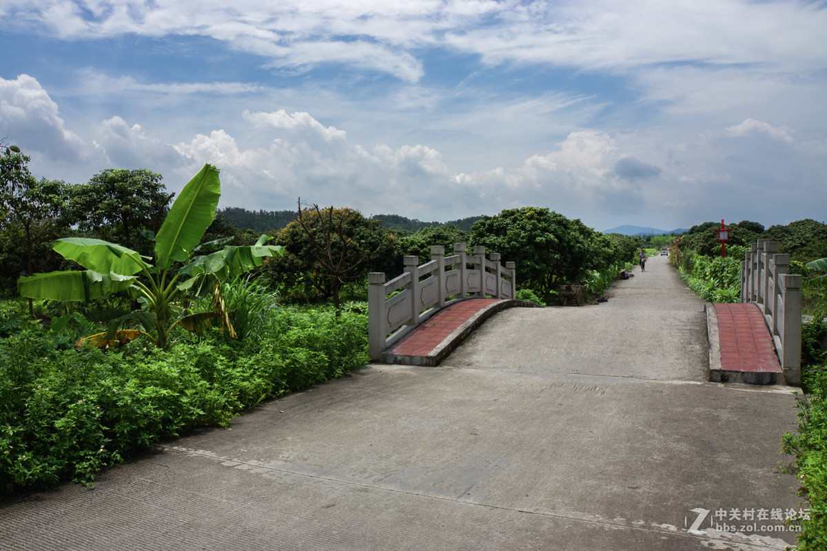 花都区花东镇港头村古村落随影