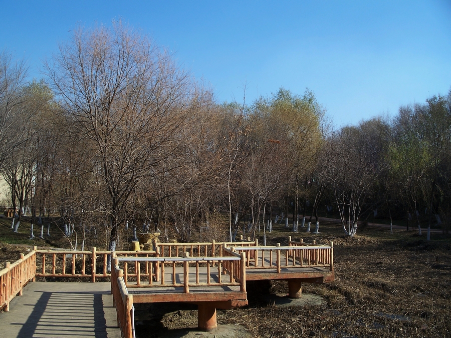 感受875迷人的色彩------再次向yuanbaojun好友致谢