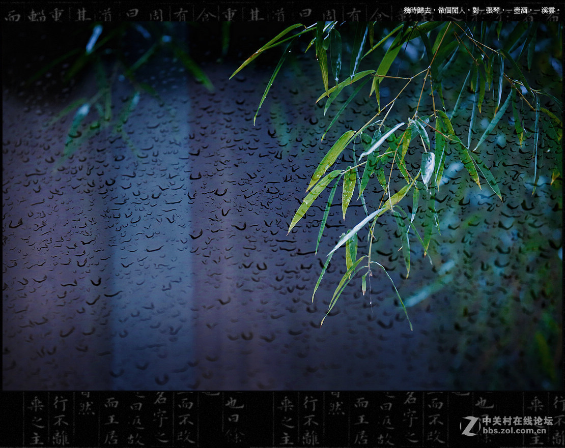 窗外秋雨