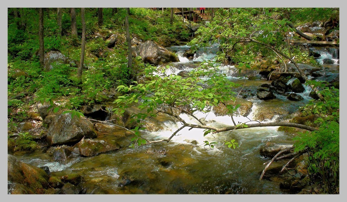 sony - SR12E 摄像机照片拍摄效果