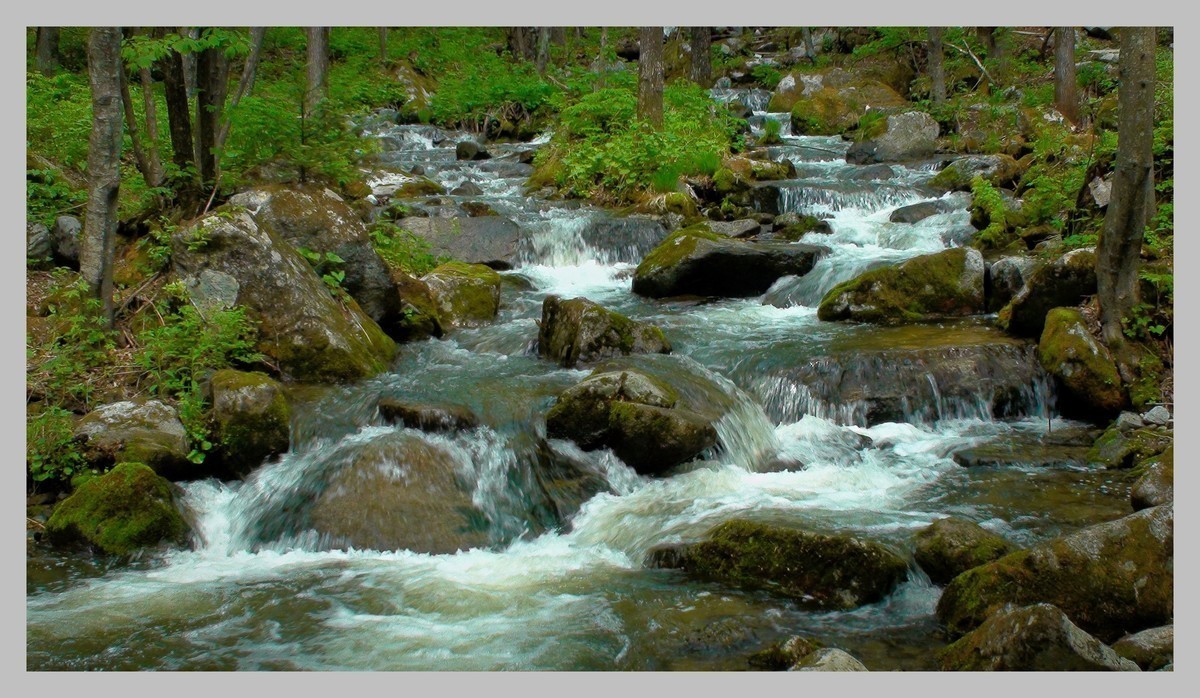 sony - SR12E 摄像机照片拍摄效果