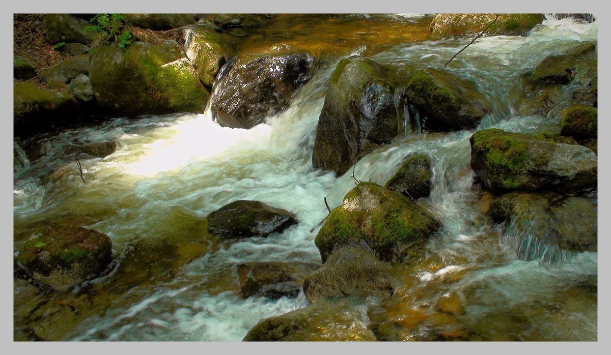 sony - SR12E 摄像机照片拍摄效果