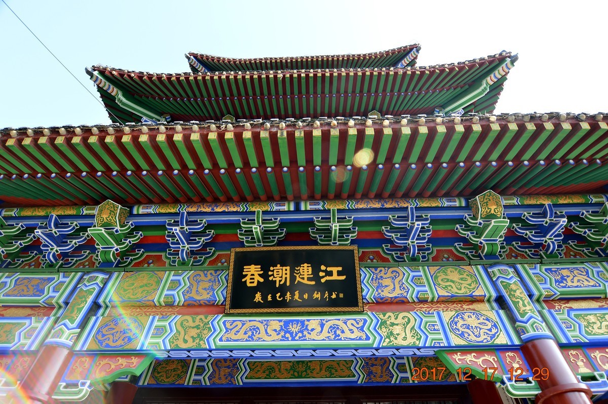 冬日里的江滩 6