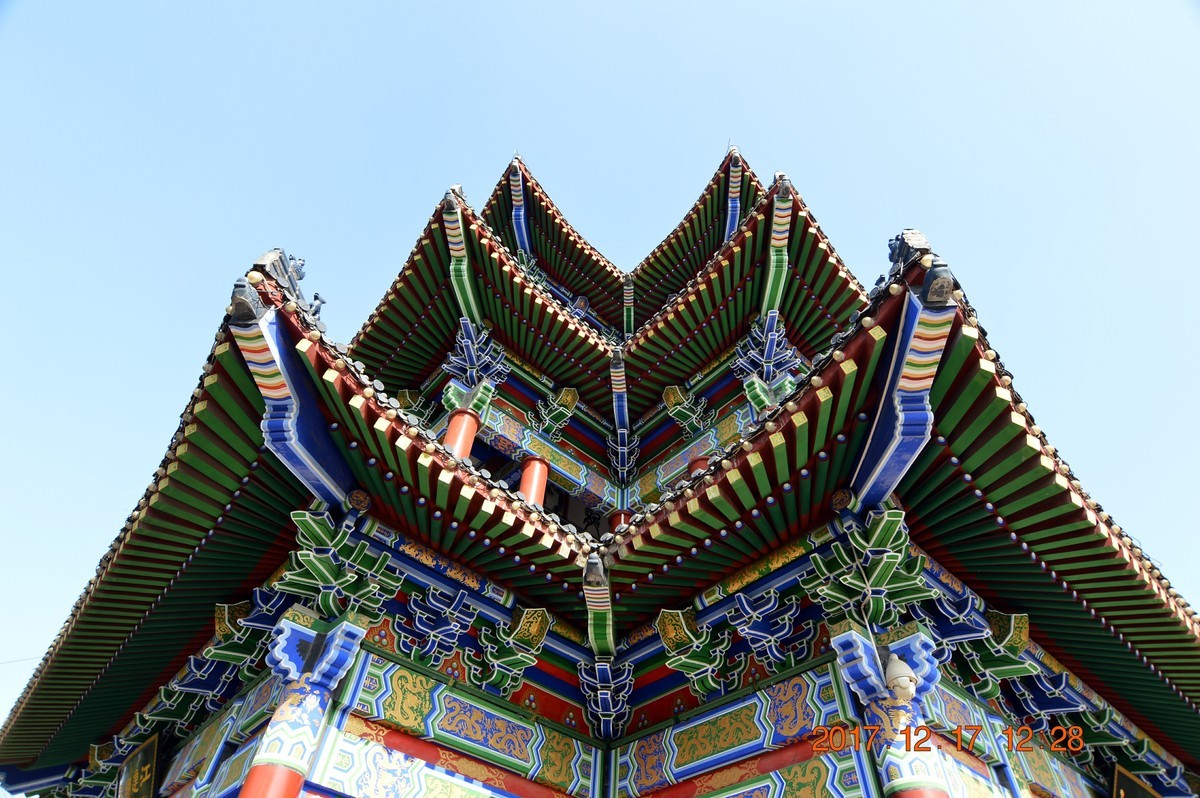 冬日里的江滩 6