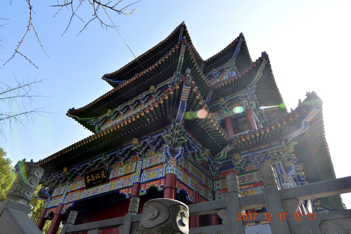 冬日里的江滩 6